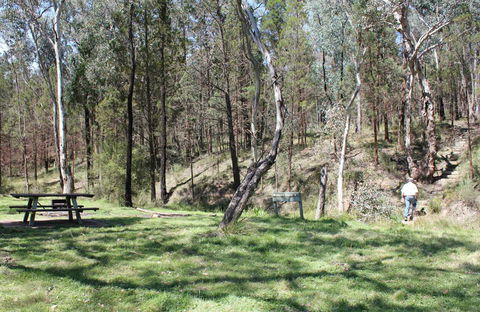 Wallaby Walking Track - Accommodation QLD 0