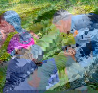 Warrumbungle National Park Discovery Program - Accommodation QLD