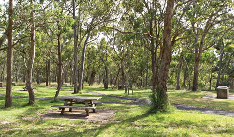 Wollomombi Gorge And Falls Picnic Area - Accommodation QLD 0