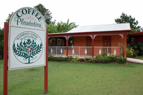 Wombah Coffee Plantation - Accommodation QLD 0