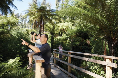 Yarra Ranges National Park - Accommodation QLD 1