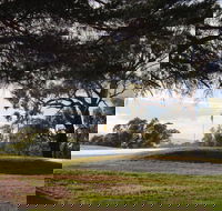 Yea Golf Club - Accommodation QLD