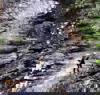 Full-Day Canyoning Experience at Stunning Empress Canyon - Accommodation QLD