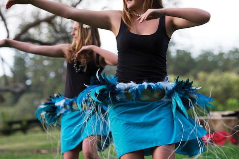 Island Fish Feast - Accommodation QLD 1