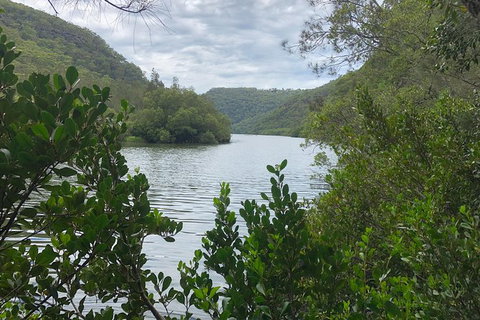 Kayak Berowra Valley - Accommodation QLD 17