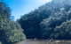 Kayak Berowra Valley - thumb 18