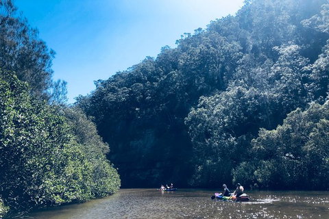 Kayak Berowra Valley - Accommodation QLD 18