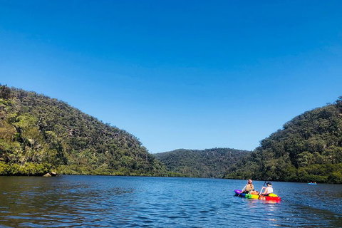 Kayak Berowra Valley - Accommodation QLD 1