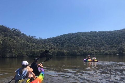 Kayak Berowra Valley - Accommodation QLD 7