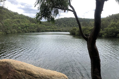 Kayak Berowra Valley - Accommodation QLD 10