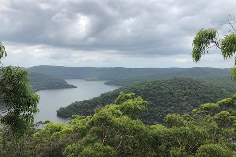 Kayak Berowra Valley - Accommodation QLD 11