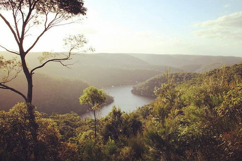 Kayak Berowra Valley - Accommodation QLD 15