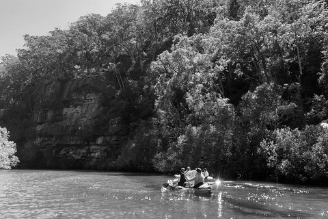 Kayak Berowra Valley - Accommodation QLD 2