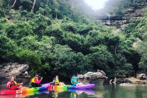 Kayak Berowra Valley - Accommodation QLD 9