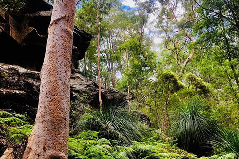 Kayak Berowra Valley - Accommodation QLD 19