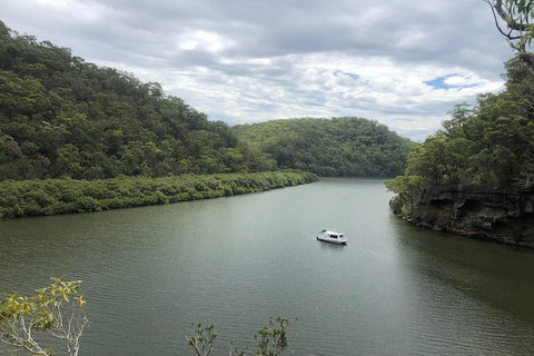 Kayak Berowra Valley - Accommodation QLD 12