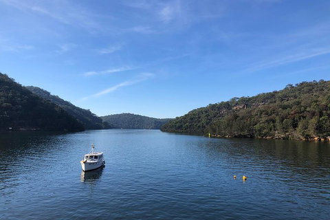 Kayak Berowra Valley - Accommodation QLD 6