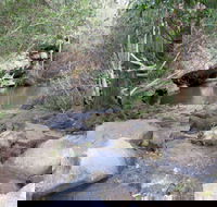 Bomaderry Creek Regional Park - Accommodation QLD