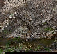 Brisbane Ranges National Park - Accommodation QLD