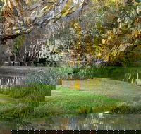 Gateway Island Parklands - Accommodation QLD