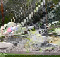 Maroochy Regional Bushland Botanic Garden - Accommodation QLD