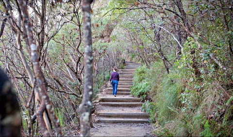 Princes Rock Walking Track - Accommodation QLD 0