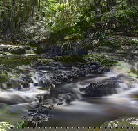 Protesters Falls Walking Track - Accommodation QLD