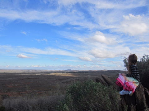 Sundown Nature Trail - Accommodation QLD 1