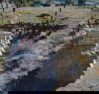 Wangaraleednie Monument  Ruins - Accommodation QLD