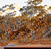 Yawura Yarun - Accommodation QLD
