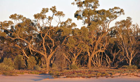 Yawura Yarun - Accommodation QLD 0