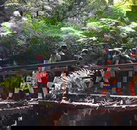 Glow Worm Tunnel Hike - Accommodation QLD