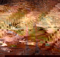 Jenolan Caves Ribbon Cave Tour - Accommodation QLD