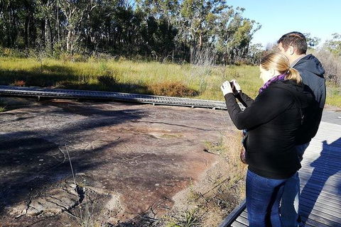 Kangaroo Encounter & Aboriginal Rock Arts Half-Day Trip From Sydney - Accommodation QLD 7