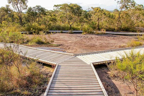 Kangaroo Encounter & Aboriginal Rock Arts Half-Day Trip From Sydney - Accommodation QLD 1
