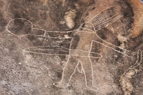 Kangaroo Encounter & Aboriginal Rock Arts Half-Day Trip From Sydney - Accommodation QLD 4