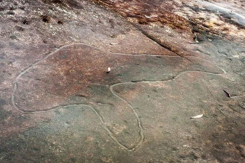 Kangaroo Encounter & Aboriginal Rock Arts Half-Day Trip From Sydney - Accommodation QLD 8