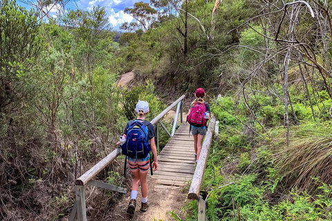 Blue Mountains Secret Places Adventure - Accommodation QLD 4