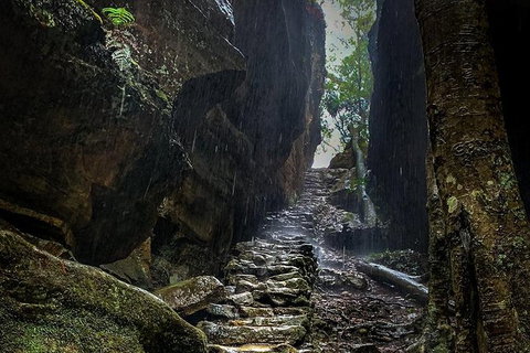 Blue Mountains Secret Places Adventure - Accommodation QLD 2