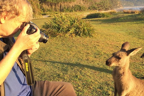 Highlights Of The Eurobodalla (half Day Private Tour) - Accommodation QLD 2