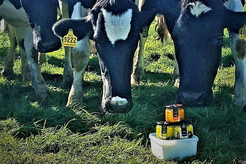 Artisan Cheese Tastings And Sales - Accommodation QLD 11