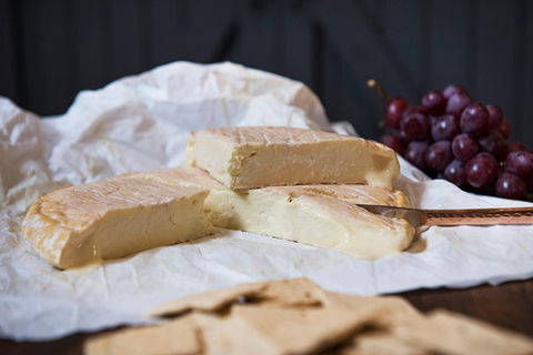 Artisan Cheese Tastings And Sales - Accommodation QLD 8