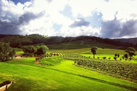 Ivanhoe Wines: Trip Advisor Wine Masterclass With Cheese Plate - Accommodation QLD 3
