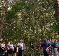 Breakfast Bushwalk Tour in Captain Cook's Monument - Accommodation QLD