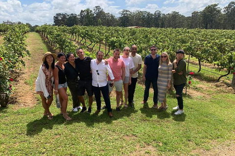 Hunter Valley Exclusive Kangaroo And Wine Tasting Experience - Accommodation QLD 6