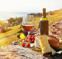 Six hour - plan your own wine and cheese tour Hunter Valley - Accommodation QLD