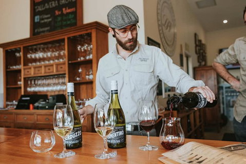 Six Hour - Plan Your Own Wine And Cheese Tour Hunter Valley - Accommodation QLD 10