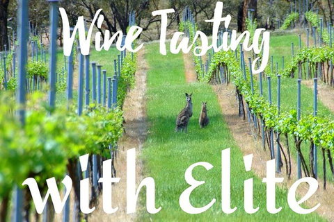 Six Hour - Plan Your Own Wine And Cheese Tour Hunter Valley - Accommodation QLD 7