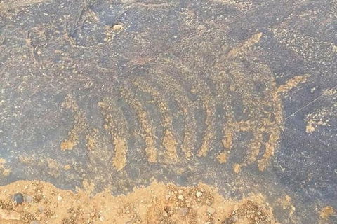 Aboriginal Rock Art - Accommodation QLD 0