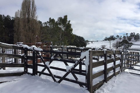 Paddock To Plate Farm Tour And Tasting - Accommodation QLD 11